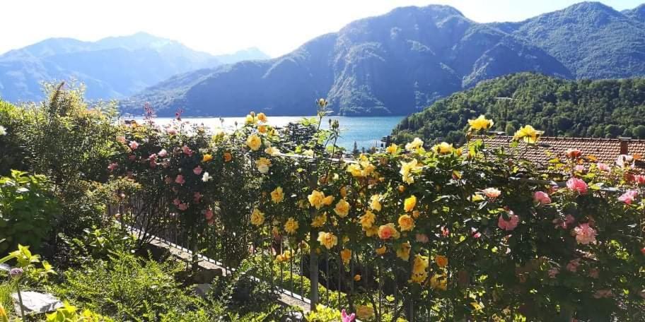 לנו Magic Garden With Jacuzzi-Pool And Luxury Lake Como View מראה חיצוני תמונה