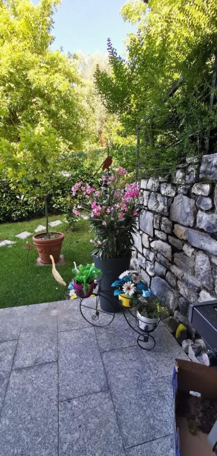 לנו Magic Garden With Jacuzzi-Pool And Luxury Lake Como View מראה חיצוני תמונה