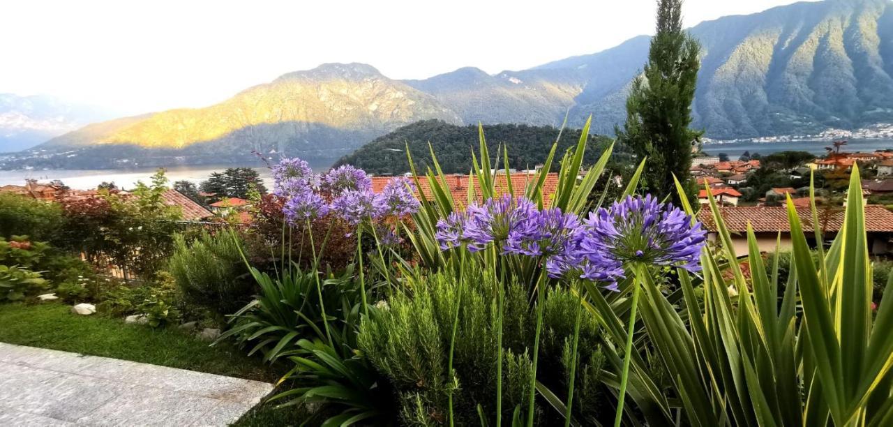 לנו Magic Garden With Jacuzzi-Pool And Luxury Lake Como View מראה חיצוני תמונה