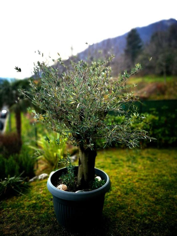 לנו Magic Garden With Jacuzzi-Pool And Luxury Lake Como View מראה חיצוני תמונה